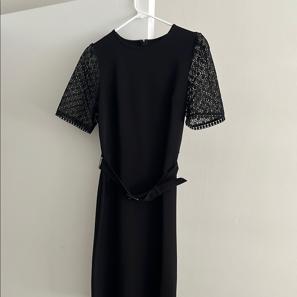 Express Elegant Black Dress with Lace Sleeves